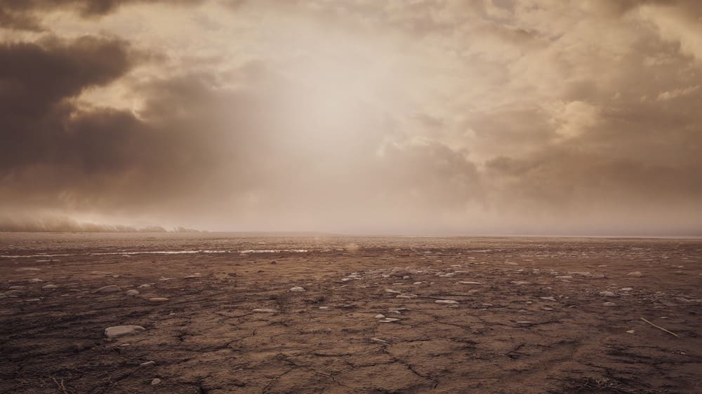 environment